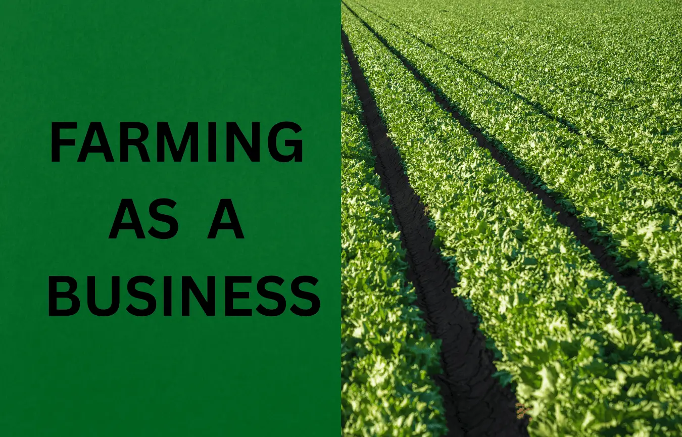 Farming as a Business: Turn Soil into Sustainable Profit