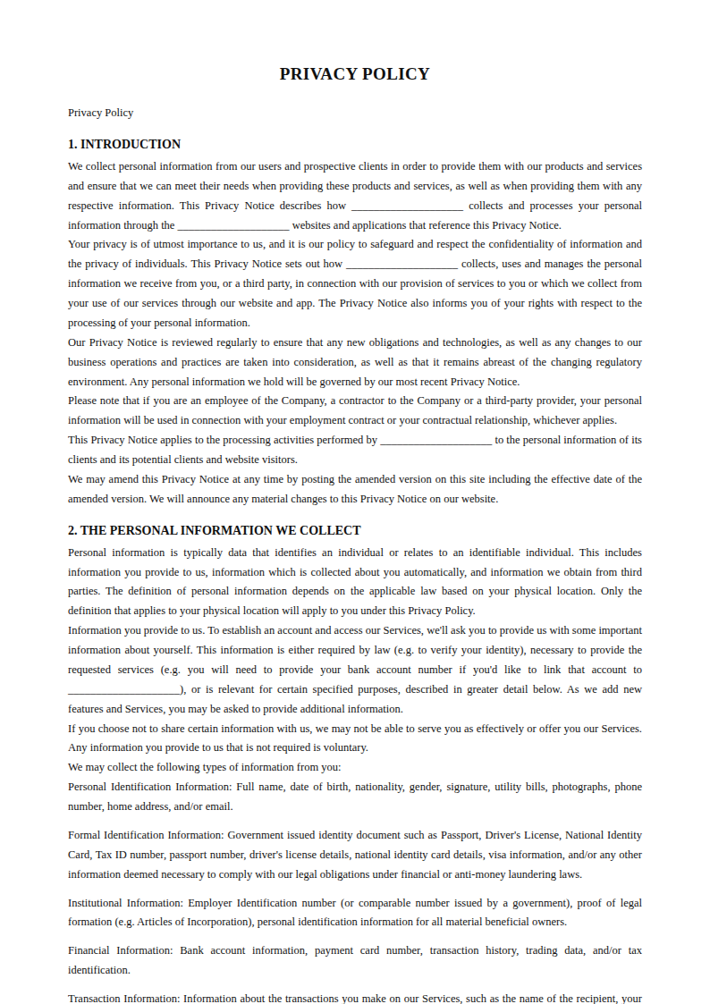 Preview of the Privacy Policy template