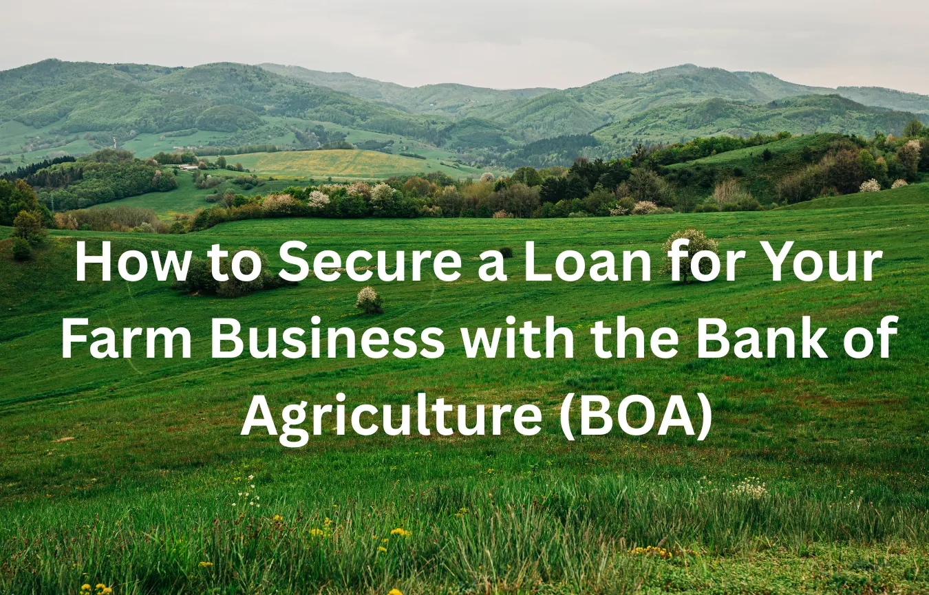 How to Secure a Loan for Your Farm Business with the Bank of Agriculture (BOA)