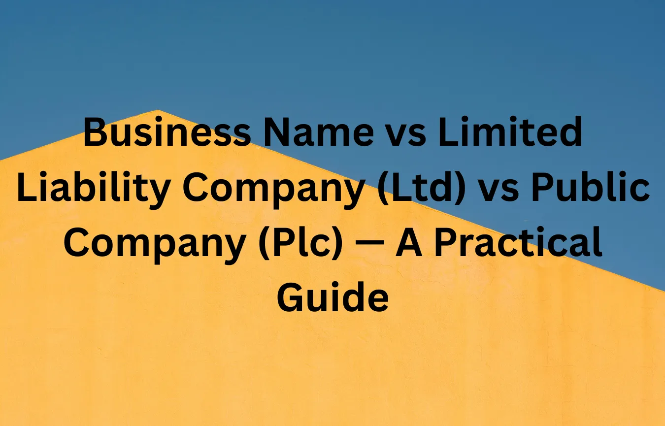 Business Name vs Limited Liability Company (Ltd) vs Public Company (Plc)